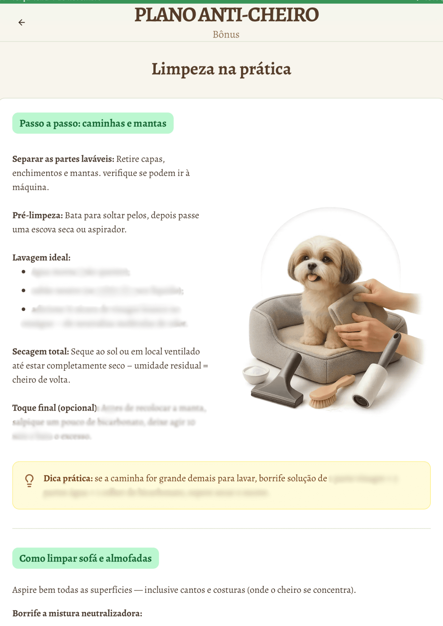 Preview of the material.